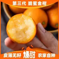 【鹿鹿专属】广西融安第三代脆蜜金桔无籽当季水果甜爆汁产地直发