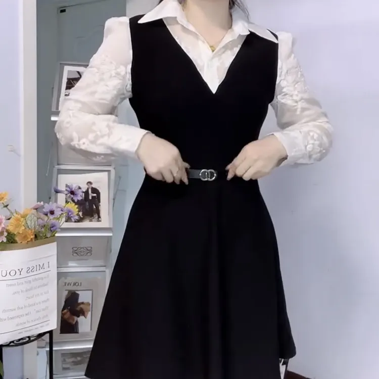 秋季新款时尚拼色刺绣假两件中长款收腰显瘦女士连衣裙