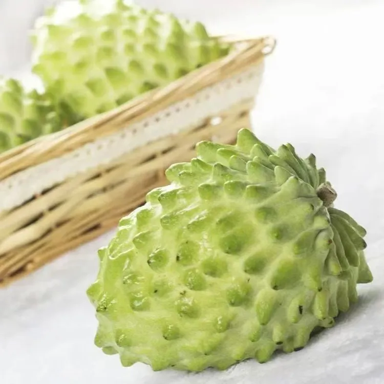 【本土特产】潮汕老树释迦果林檎产地直发软糯香甜柑桔类