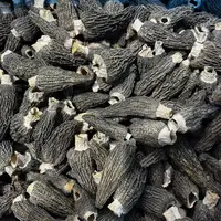 【益娜娜专属】羊肚菌头茬厚肉 6-9 放冰箱