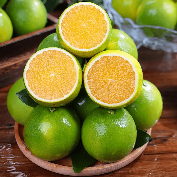 正宗云南青皮冰糖橙新鲜应季水果2/5/9斤现摘现发皮薄多汁清甜