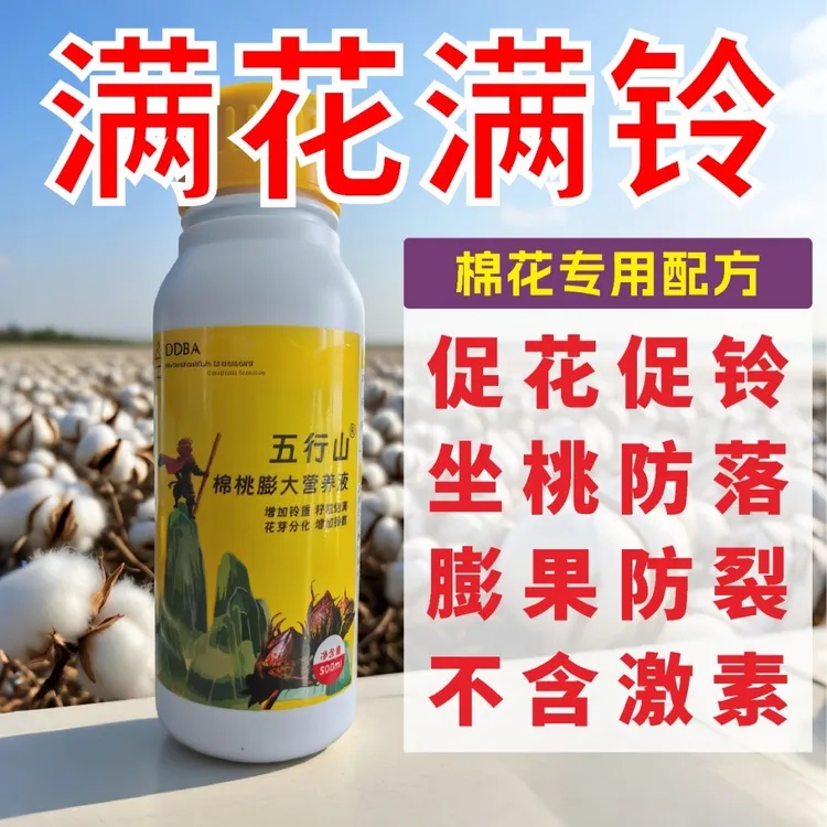 棉花膨大剂棉桃膨大营养液花大铃大花多铃多花芽分化剂促花保果液