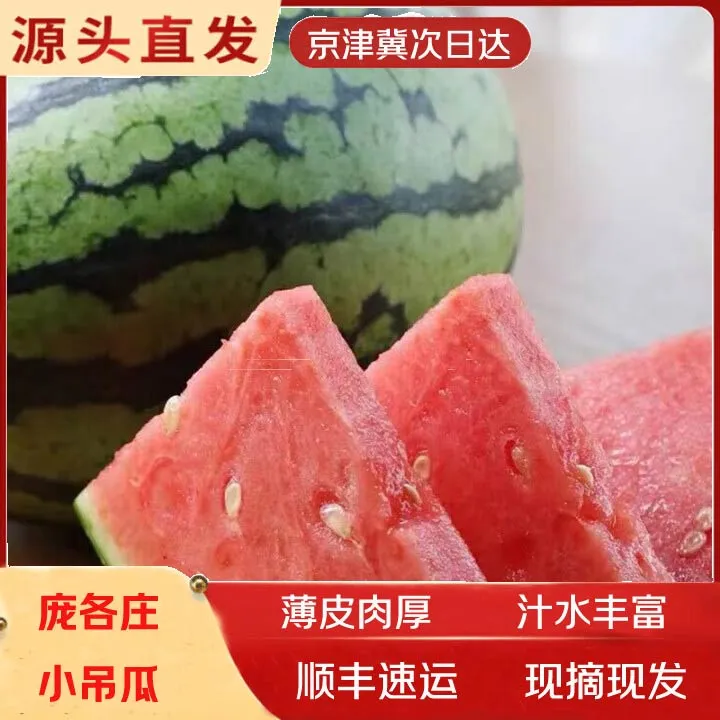 正宗庞各庄小西瓜手撕冰糖小吊瓜冰淇淋西瓜当季新鲜水果无籽整箱