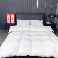 宜家同款极简风保暖双人被加厚春秋冬被被子5.5斤