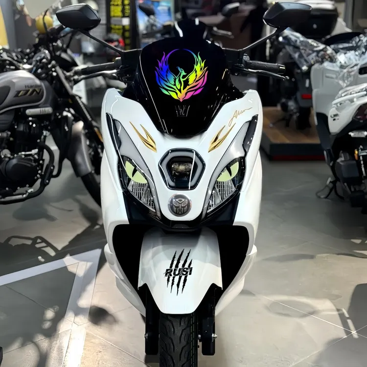 适用豪爵UFR150风挡凤凰反光贴纸改装饰摩托车挡泥板RUSI拉花配件