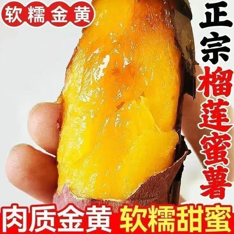 正宗云南高山红土榴莲蜜薯新鲜黄金蜜薯沙地糖心香甜黄心番薯红薯