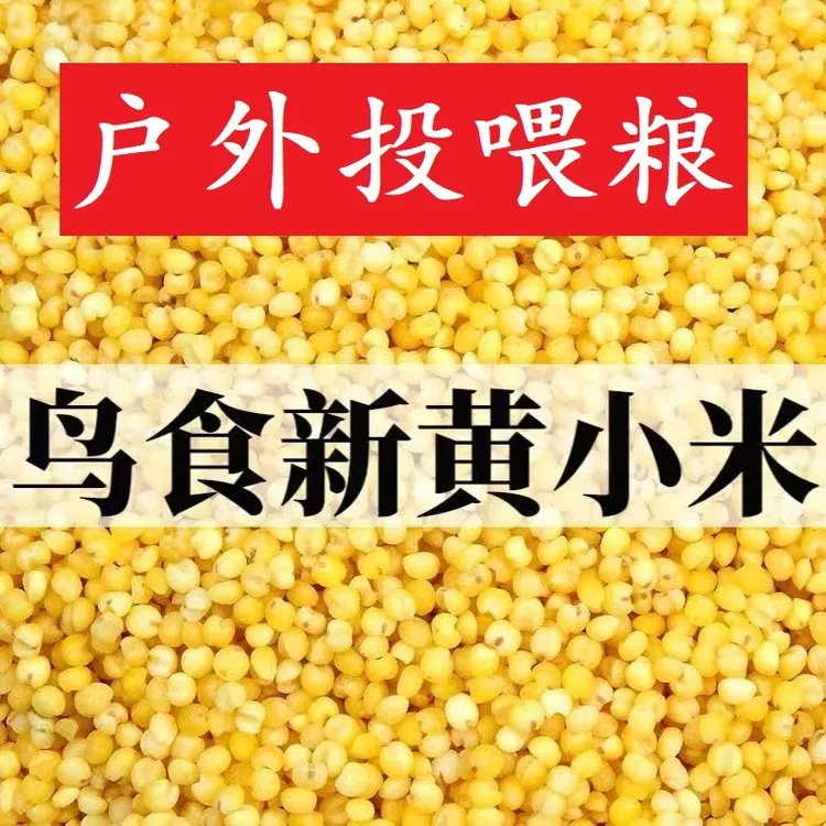 户外投喂粮小米鸟粮野外鸟食麻雀斑鸠野外投喂谷子天然粮脱壳小米