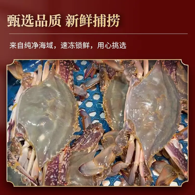 【保鲜不保活】山东威海海捕梭子蟹  公蟹  6两左右/只  总斤数可选