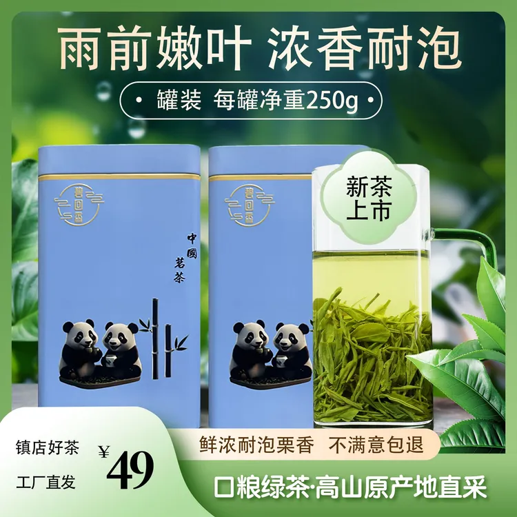 口粮绿茶 茶叶2025新茶雨前毛尖高香云雾绿茶浓香耐泡 罐装