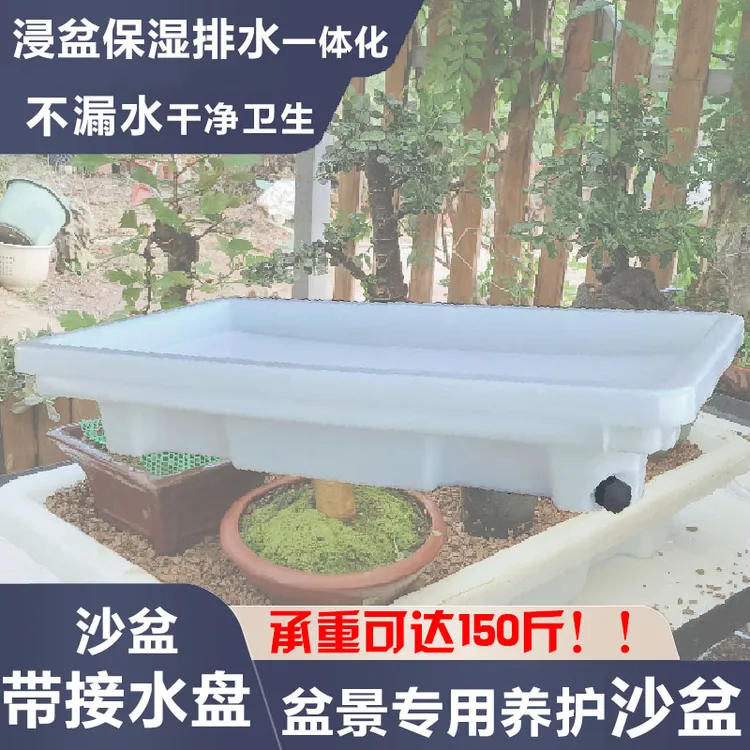 盆景专用养护沙盆浸盆保湿排水一体多功能盆栽养护台沙盘带接水盘
