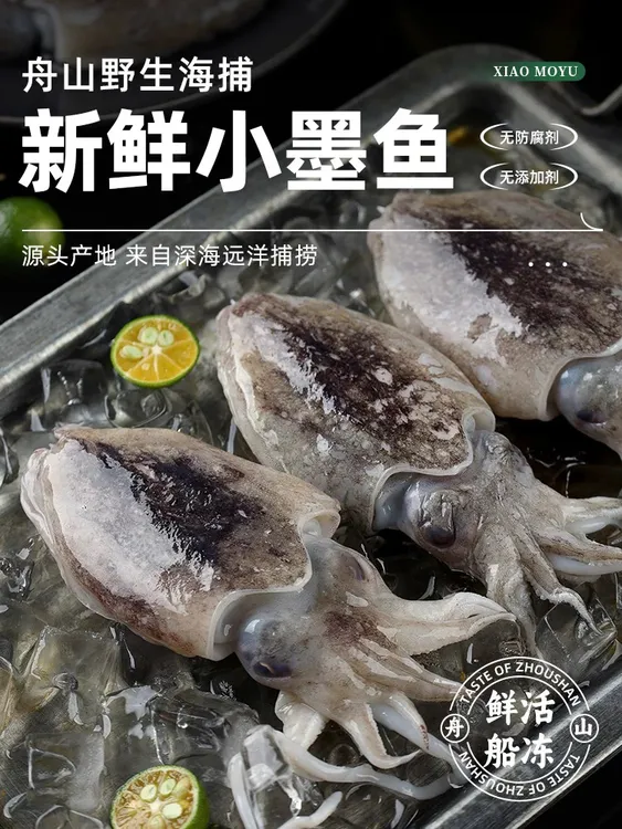 黄海新鲜小墨鱼仔（小乌子）适合爆炒白灼