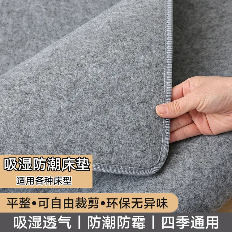 隔潮学生宿舍专用去湿气隔脏防潮床垫垫子床上用防霉榻榻米单人床