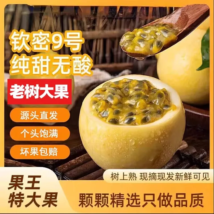 广西龙胜高山主播乡村黄金百香果亲蜜9号现摘现发正宗广西百香果