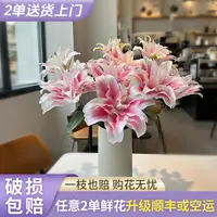 【源头优选】伊莎贝拉重瓣百合 云南直发鲜花家居水养插花鲜切花