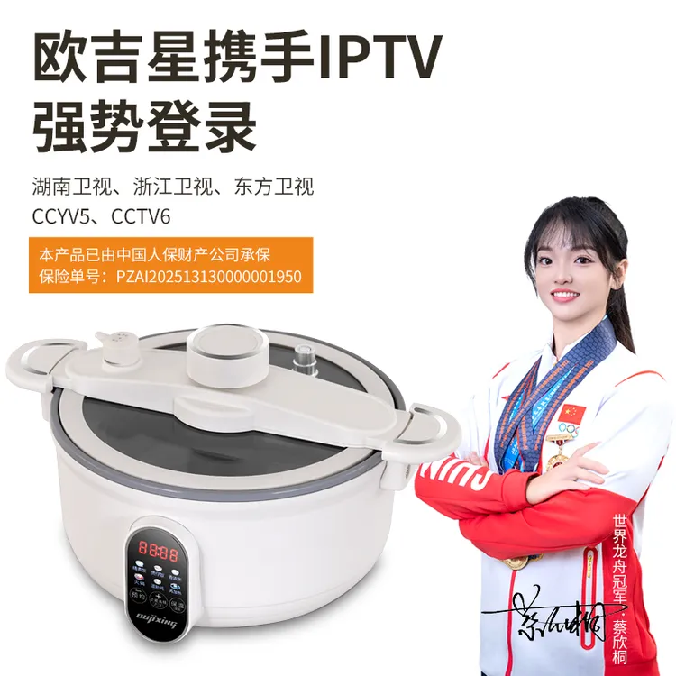 德国欧吉星oujixing真微压电饭煲焖炖煮煲火锅煎炒 3L（AG)