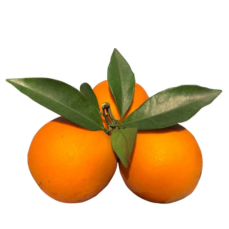 正宗赣南脐橙新鲜应季水果皮薄肉厚多汁产地直发