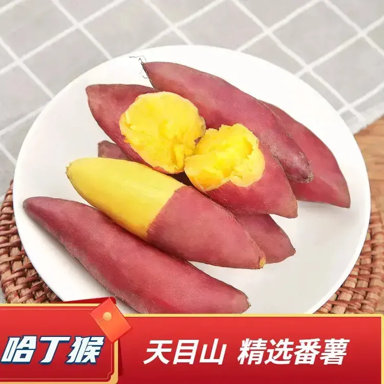 天目山小香薯5斤装新鲜农产品板栗红薯蜜薯软糯香甜地瓜番薯