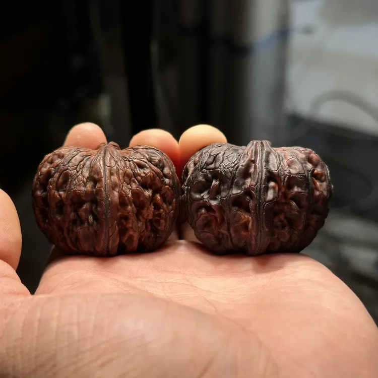 地闷元宝 尺寸可选