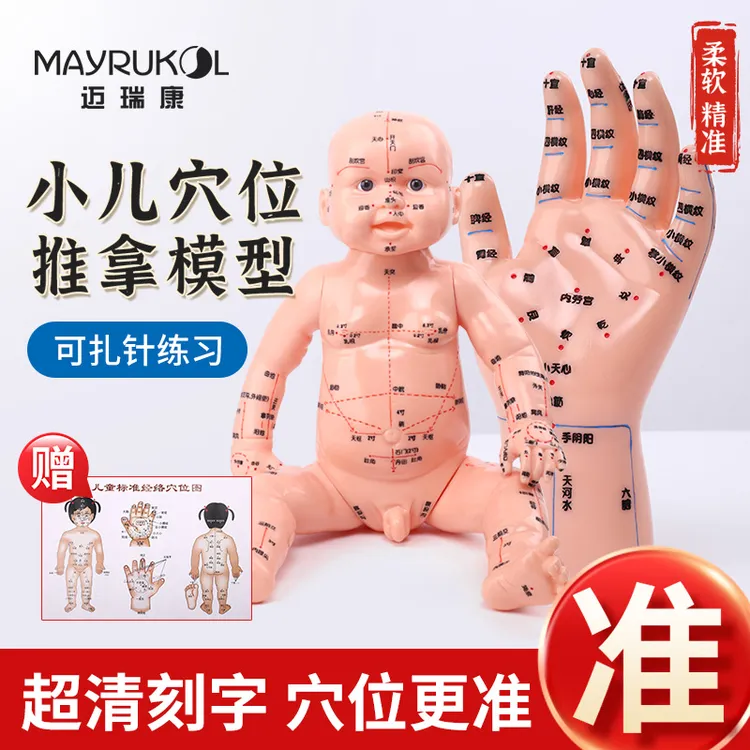 小儿推拿穴位模型手部反射区穴位模型按摩针灸手刻字高清中医教学