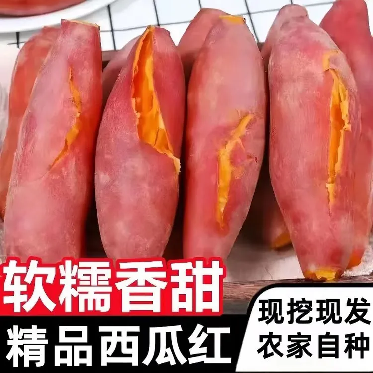 河南西瓜红蜜薯薯红薯新鲜现挖软糯香甜可蒸煮烤炸