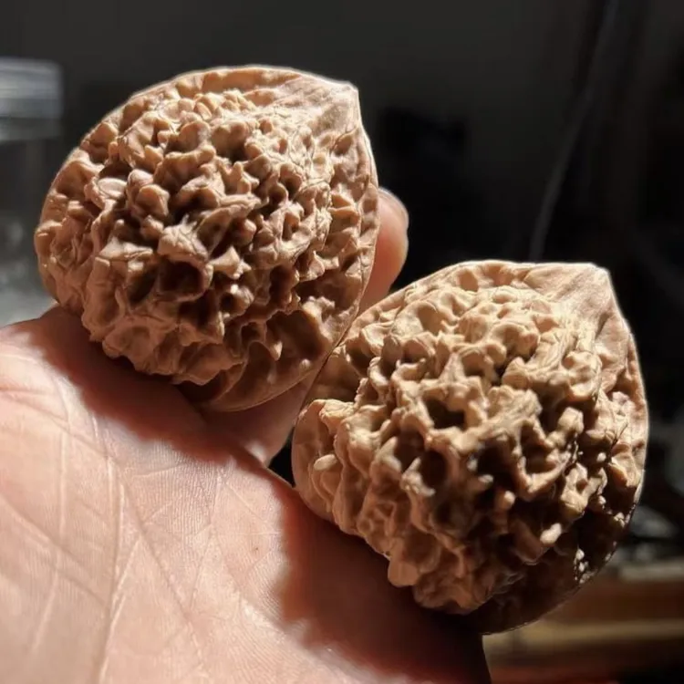 老树原桩麒麟纹官帽 尺寸随机