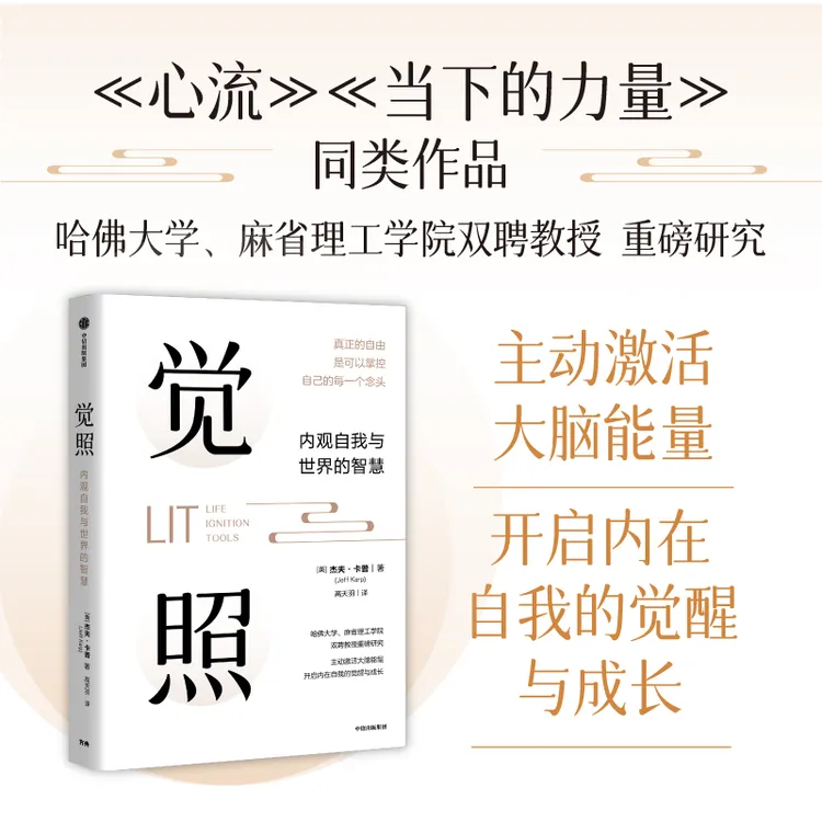 觉照：内观自我与世界的智慧 杰夫·卡普著 高能量 心流 中信出版