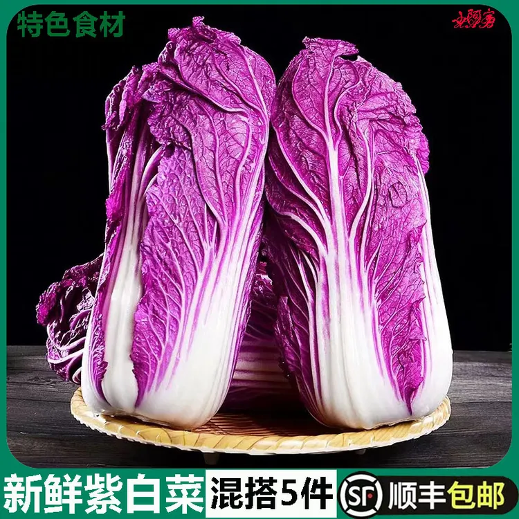 新鲜紫白菜紫玉白菜500g沙拉凉拌酒店特色菜富含花青素紫色大白菜