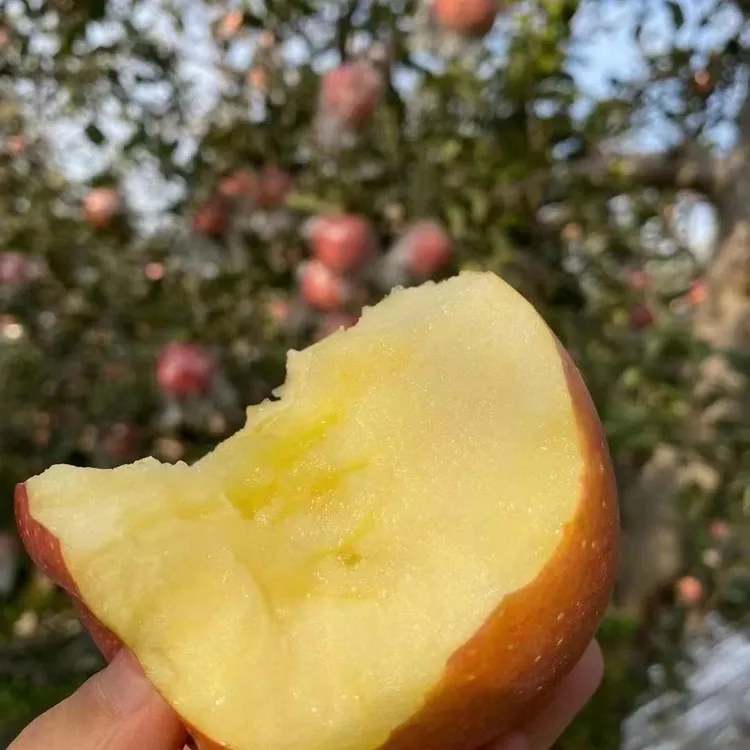 正宗山西运城冰糖心丑苹果新鲜采摘应季孕妇水果