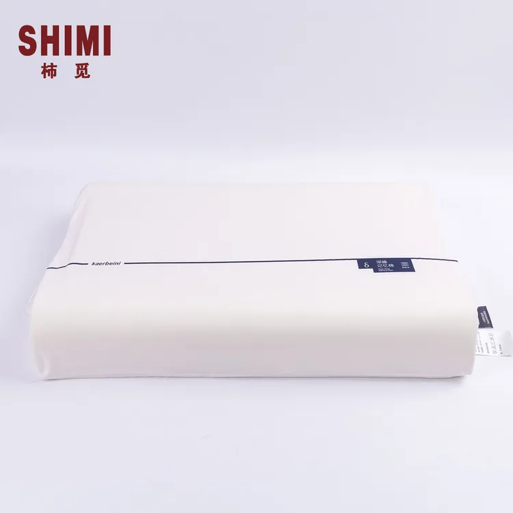 一对装家用超柔慢回弹记忆棉舒睡枕护颈午睡枕头枕头 记忆枕
