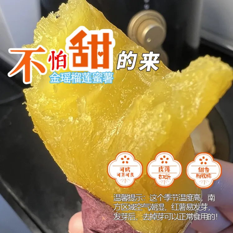 【正宗榴莲蜜薯】榴莲蜜薯黄金薯香甜软糯 新鲜现挖 可蒸可煮可烤商品图