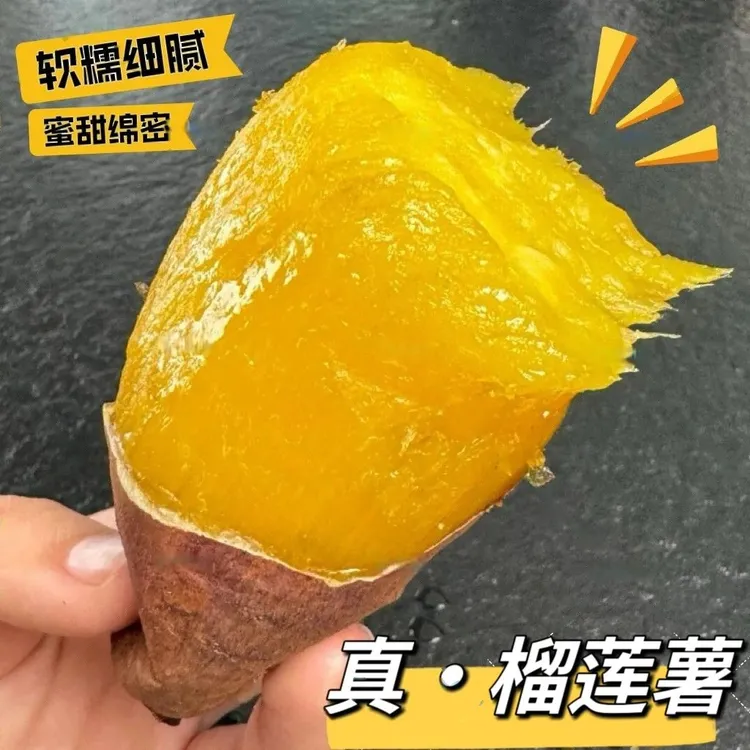 正宗云南榴莲蜜薯农家沙地网红烤红薯地瓜软糯香甜番薯丝滑小山芋
