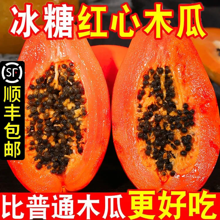 【新人福利】雷州红心木瓜直发冰糖红心木瓜应季水果水果树上熟
