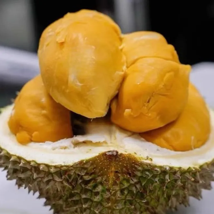 【AA级黑刺】马来西亚液氮黑刺榴莲保5房