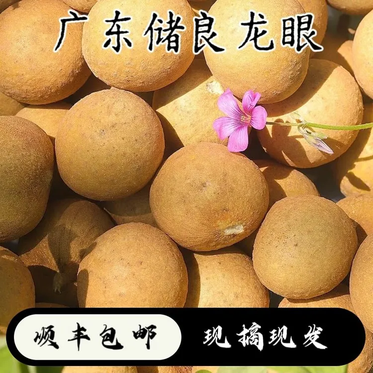 新鲜龙眼甜蜜爆汁饱满香甜现摘现发肉厚多汁