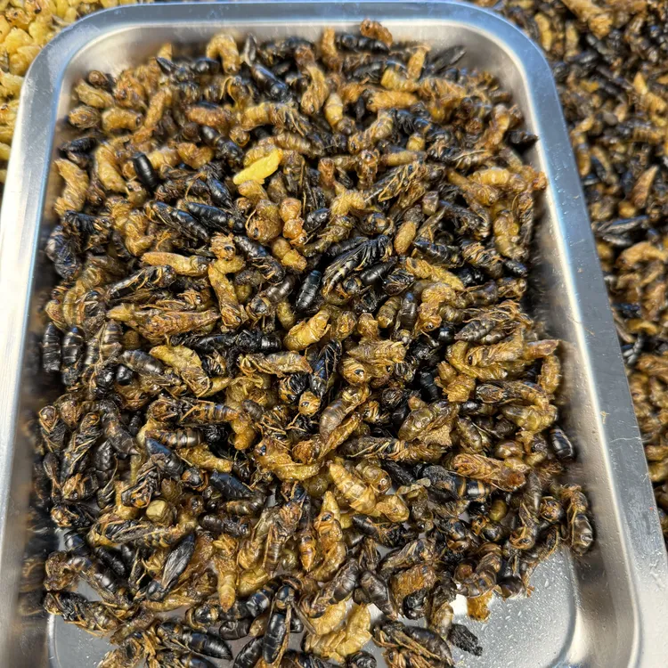 油炸树蜂蜂蛹2/4级小黄小黑很嫩不会飞不扎嘴顺丰包邮