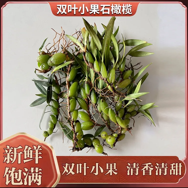 新鲜双叶小果石橄榄250克500克翠绿饱满炖汤味甘清甜