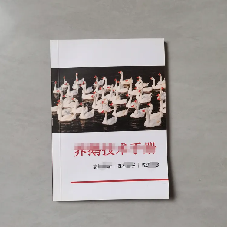 高效养鹅.添加剂.饲料