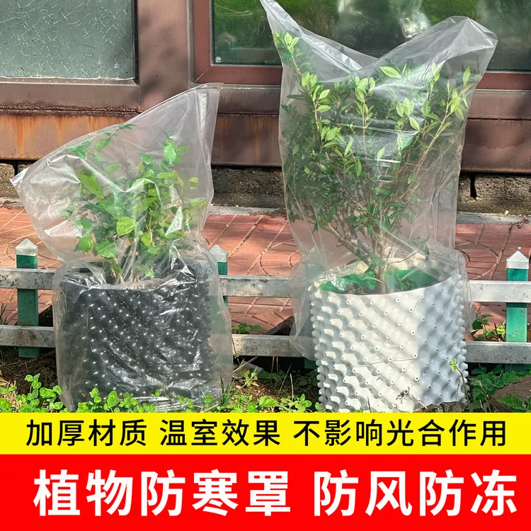 植物防寒罩透明果树过冬防冻防雨树木保护罩防尘袋花卉盆栽保温膜