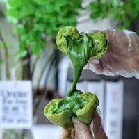 爆浆抹茶麻薯面包课程（录播课、短信领课）