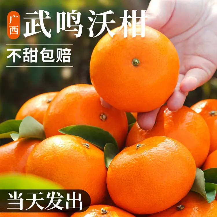 正宗广西武鸣沃柑新鲜当季水果5/10斤橘子沙糖橘蜜桔大果皮薄多汁