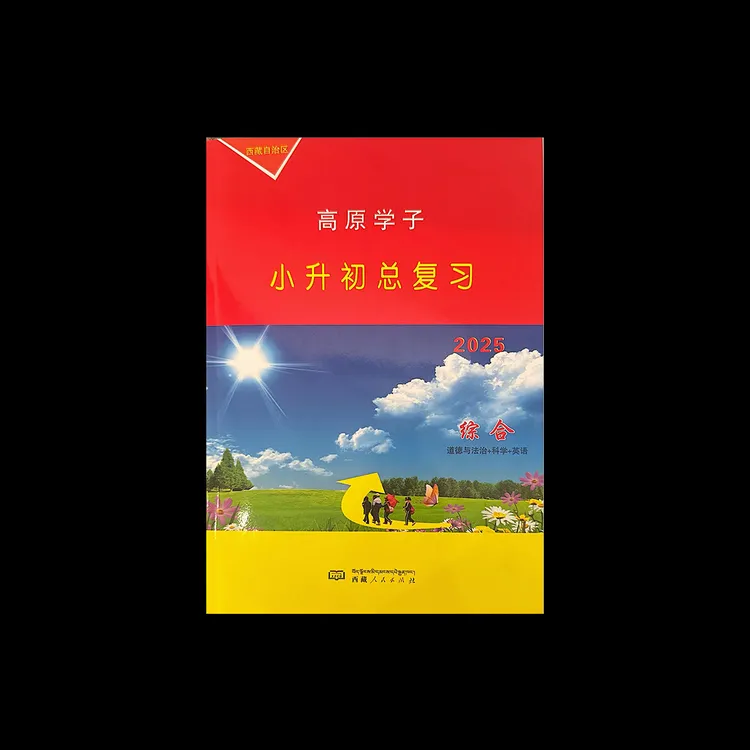 小升初总复习（高原学子）