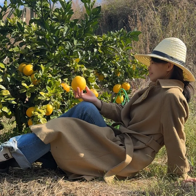 正宗赣南脐橙新鲜采摘老人孕妇小孩水果