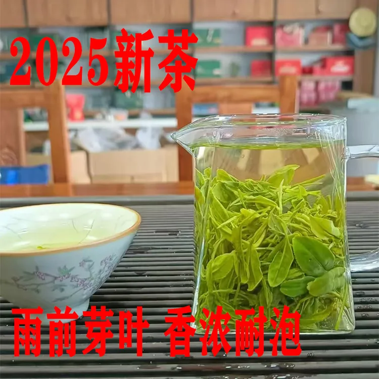 高山大芽叶信阳毛尖2025新茶口感好喝一芽两三叶口粮茶春茶