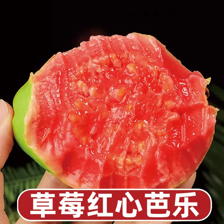【顺丰/京东】福建软红心芭乐新鲜精品番石榴应季水果现摘5斤装红心
