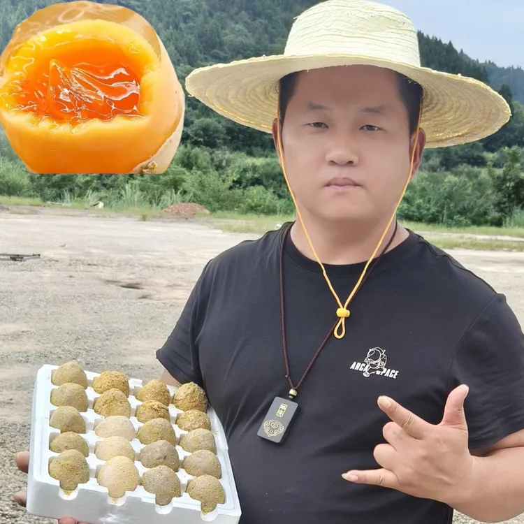 《二狗哥专享》四川西充自家黄心溏心麻鸭皮蛋无铅工艺松花蛋