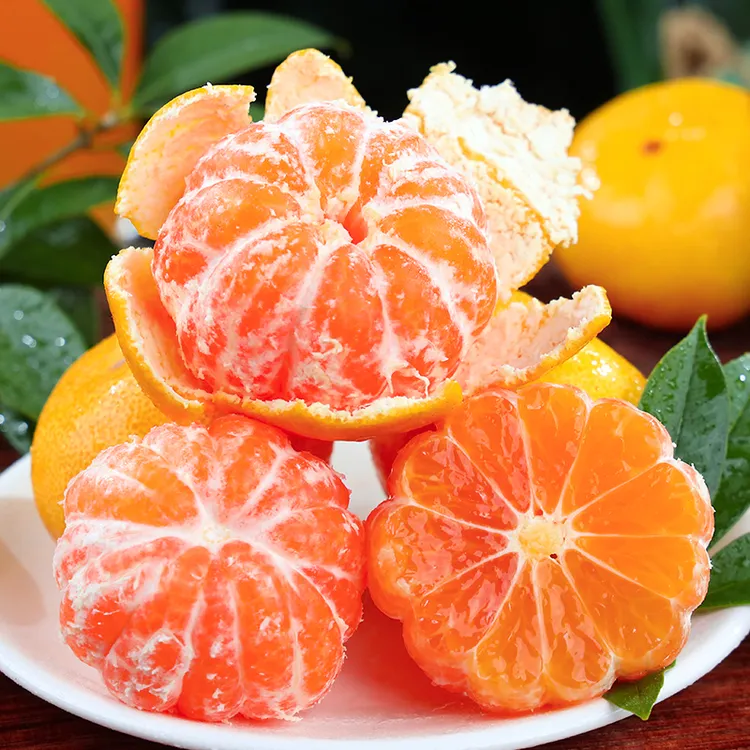 【酸甜爽口】正宗宜昌蜜橘蜜桔2/5/9斤现摘新鲜应季水果薄皮多汁