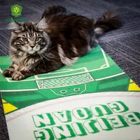 北京国安宠物用品系列立式猫抓板耐磨耐抓猫抓板球迷周边宠物用品