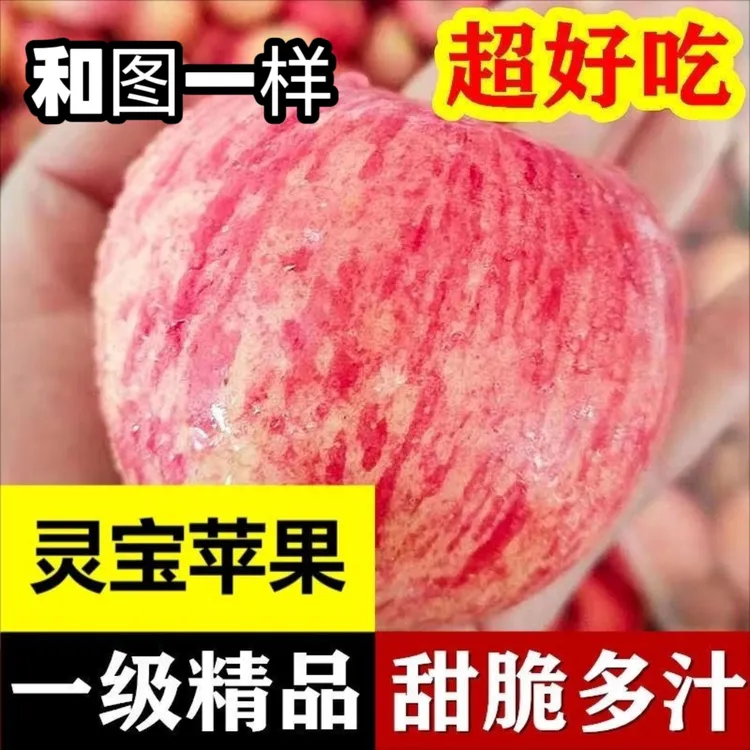 【灵宝寺河山】正宗红富士苹果新鲜采摘脆甜多汁冰糖心脆甜多汁现货