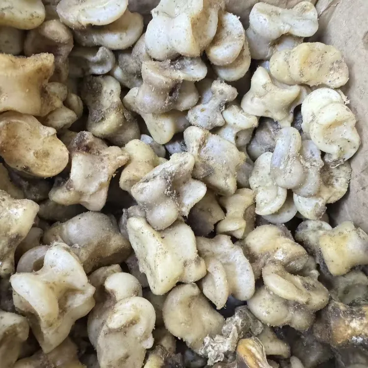 风干带肉纯天然真羊嘎拉哈羊拐骨玩具童年回忆儿时记忆满满的记忆