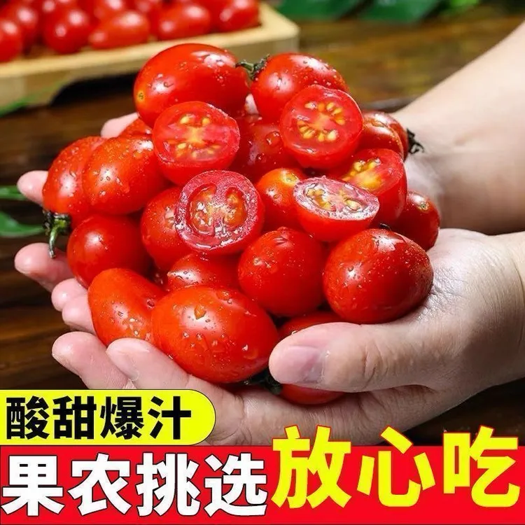 正在广西圣女果小番茄脆甜多汁新鲜爆汁应季水果5斤整箱装